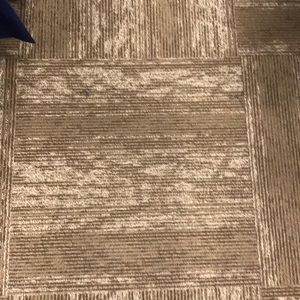 Meet your Posher, Elly